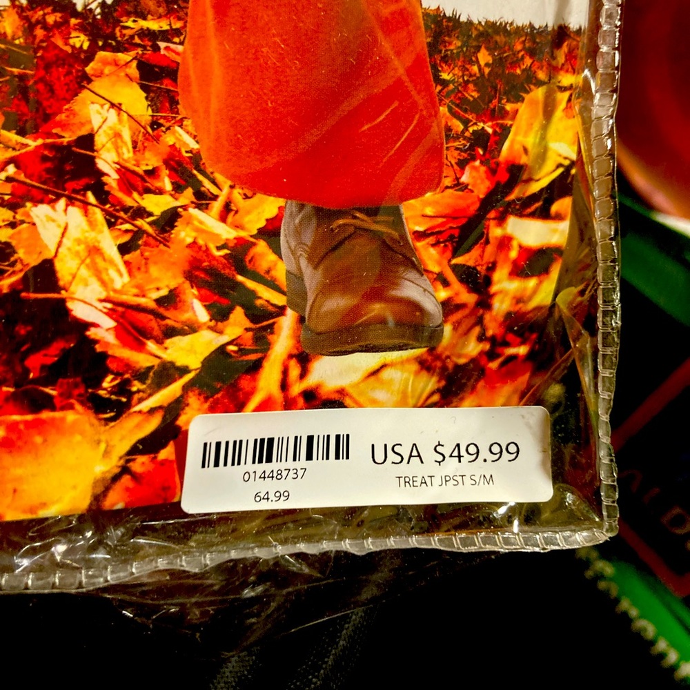 *FIRM PRICE* Brand new halloween costume SAM